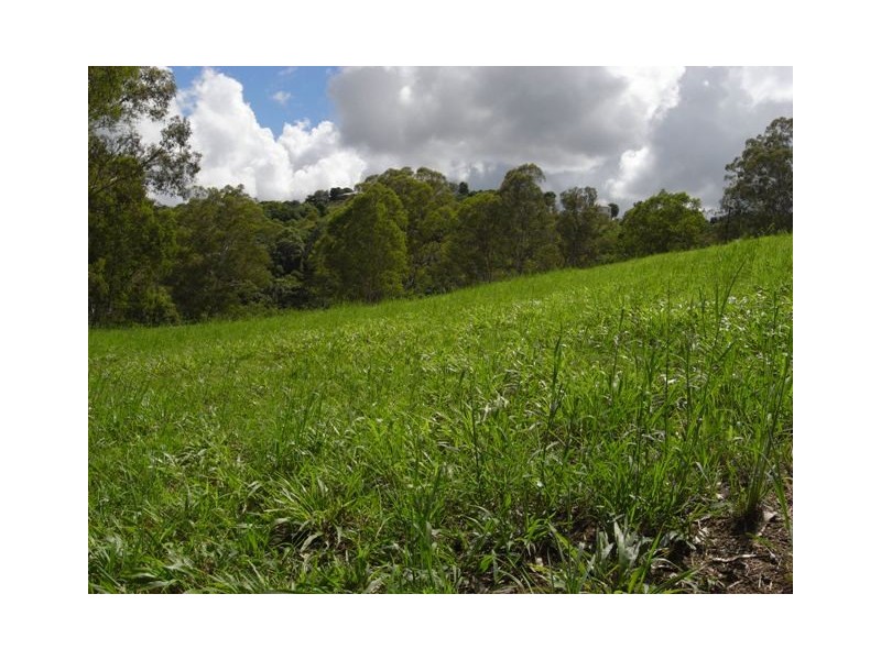 52 Whispering Gum Ave, Eumundi QLD 4562