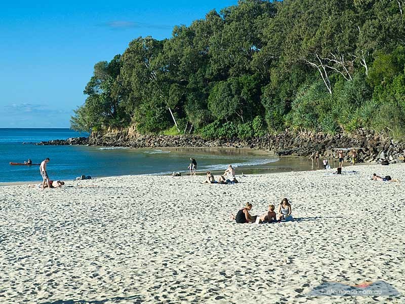 52 Whispering Gum Ave, Eumundi QLD 4562