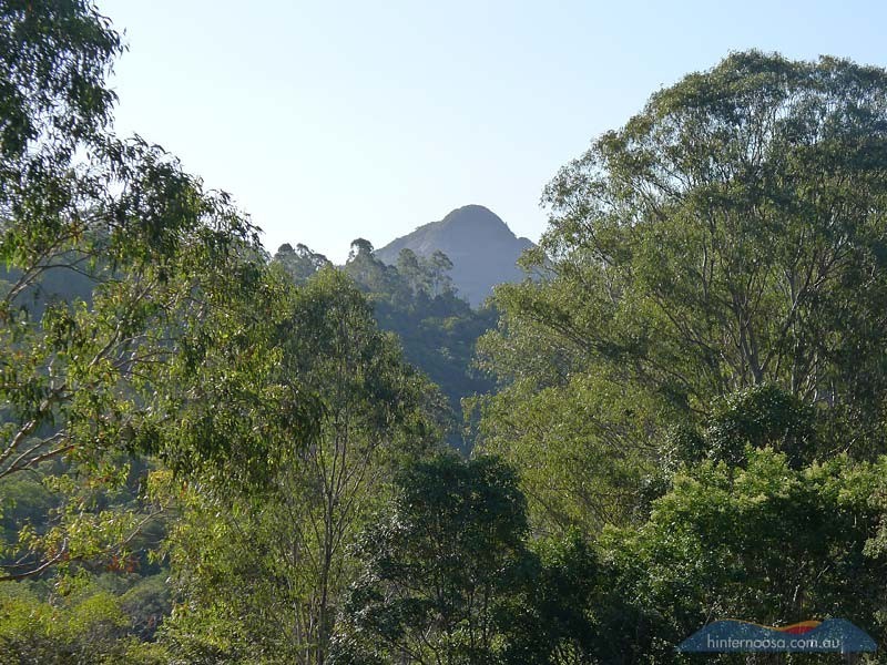 71 Whispering Gum Avenue, Eumundi QLD 4562