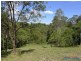 71 Whispering Gum Avenue, Eumundi QLD 4562