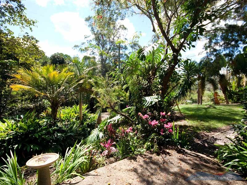 90 Black Mountain Rd, Cooroy QLD 4563