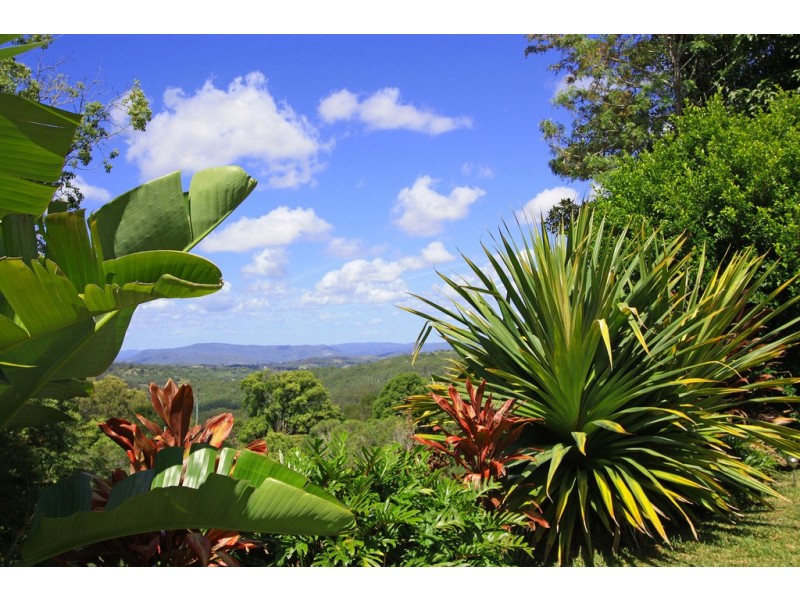 581 Black Mountain Rd, Black Mountain QLD 4563