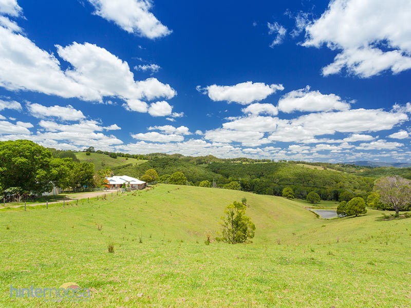 595 Black Mountain Road, Black Mountain QLD 4563