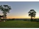1033 Black Mountain Road, Federal QLD 4568