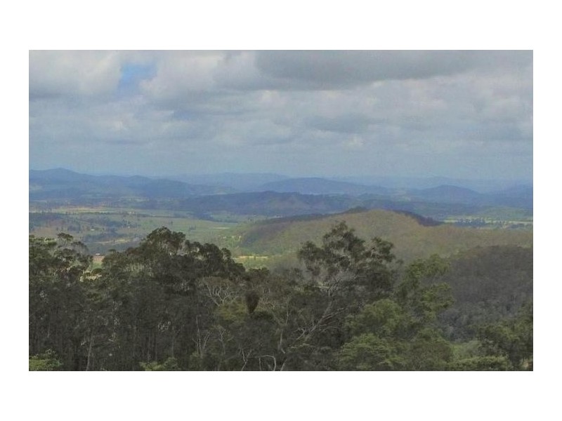 1033 Black Mountain Road, Federal QLD 4568