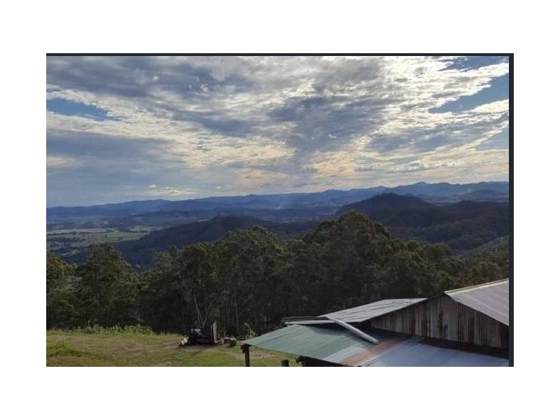 1033 Black Mountain Road, Federal QLD 4568