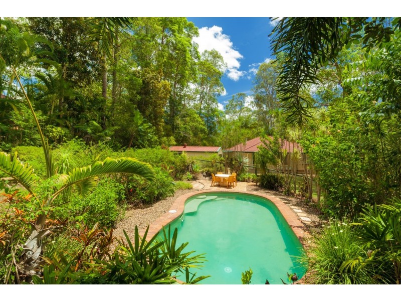 33 Blackbean Court, Black Mountain QLD 4563