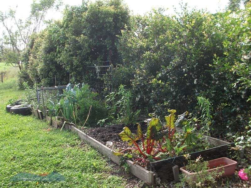 167 Blanckensee Rd, Cooroy QLD 4563