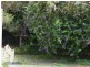 83 Blueberry Dr, Cooroy QLD 4563