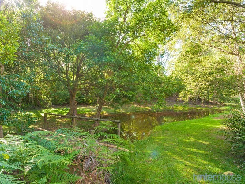 142 Blueberry Dr, Black Mountain QLD 4563