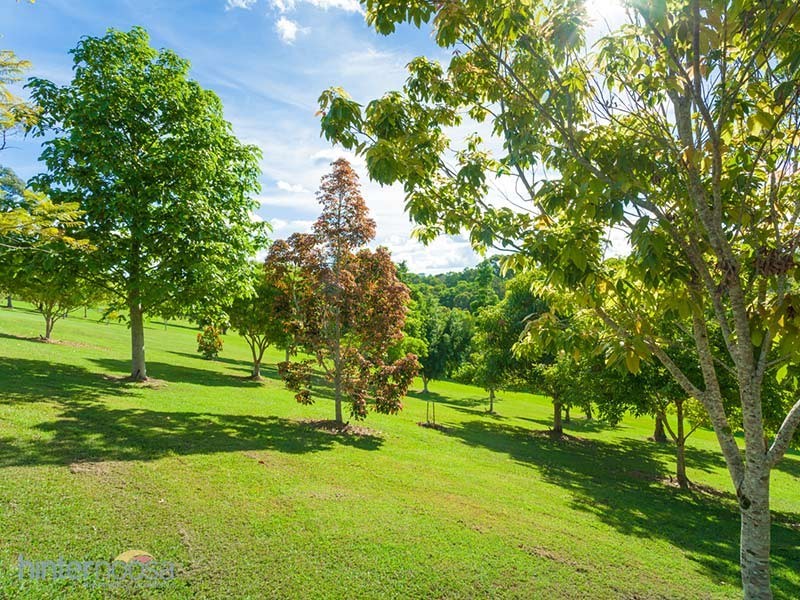 142 Blueberry Dr, Black Mountain QLD 4563