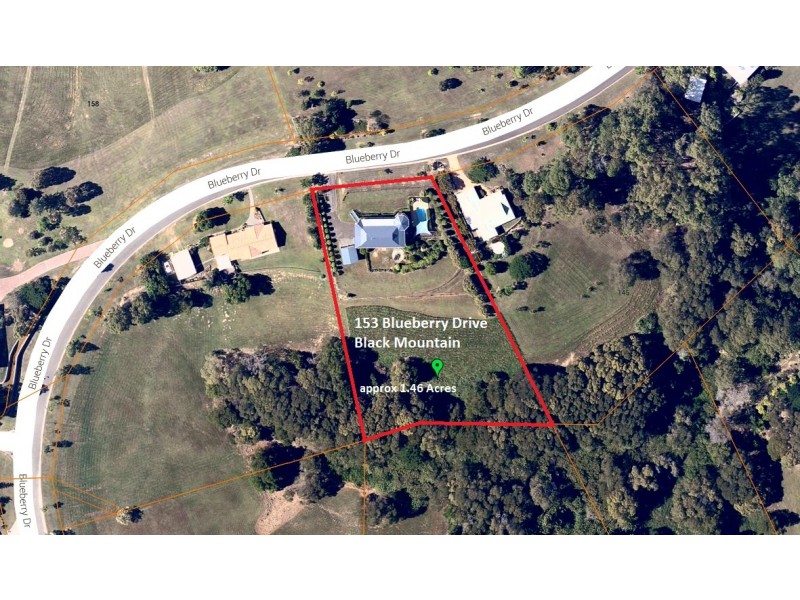 153 Blueberry Drive, Black Mountain QLD 4563