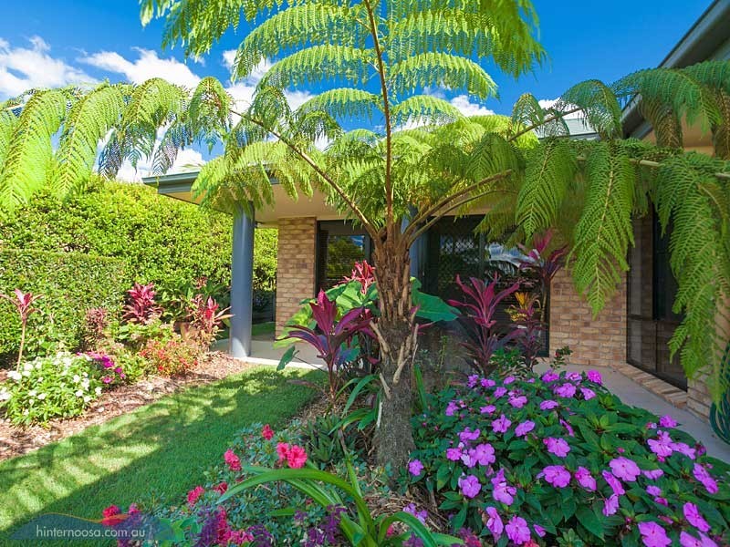 180 Blueberry Drive, Black Mountain QLD 4563