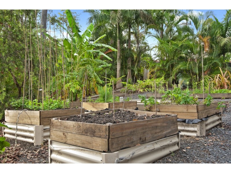 7 Bunya Lane, Black Mountain QLD 4563