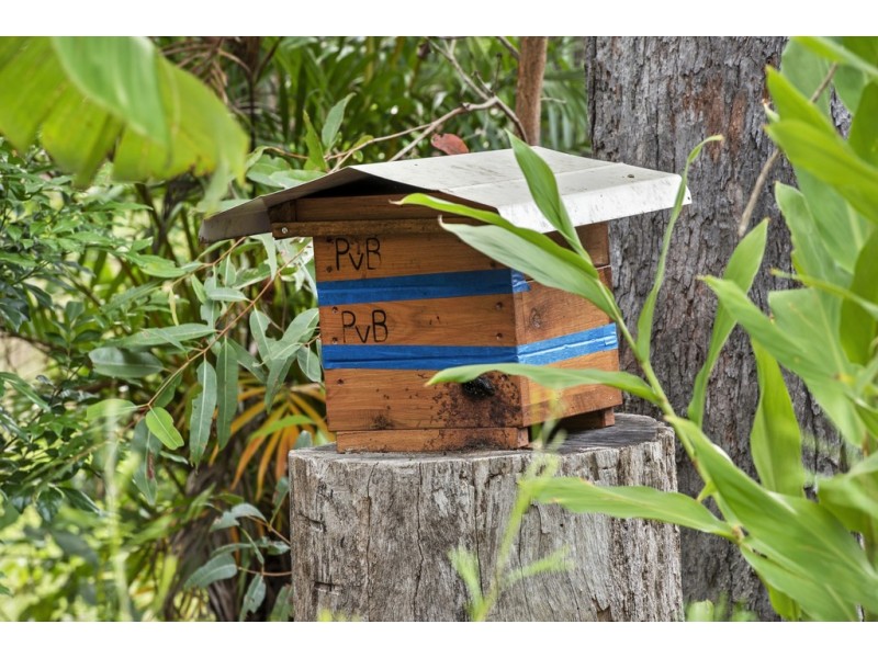 7 Bunya Lane, Black Mountain QLD 4563