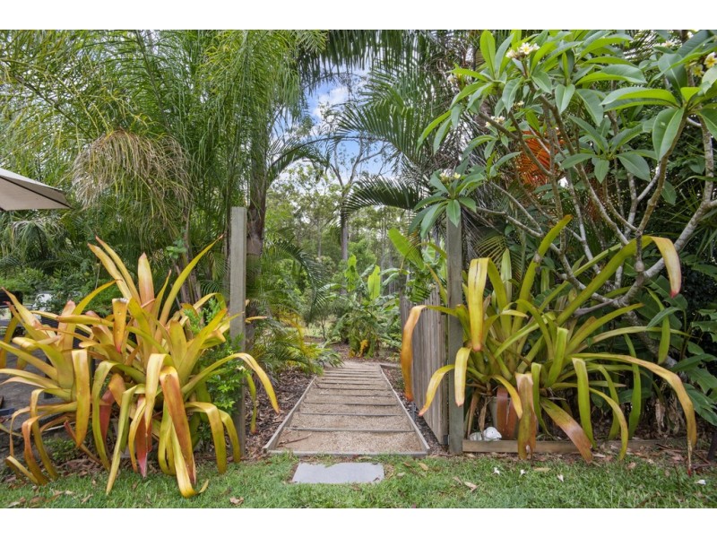 7 Bunya Lane, Black Mountain QLD 4563