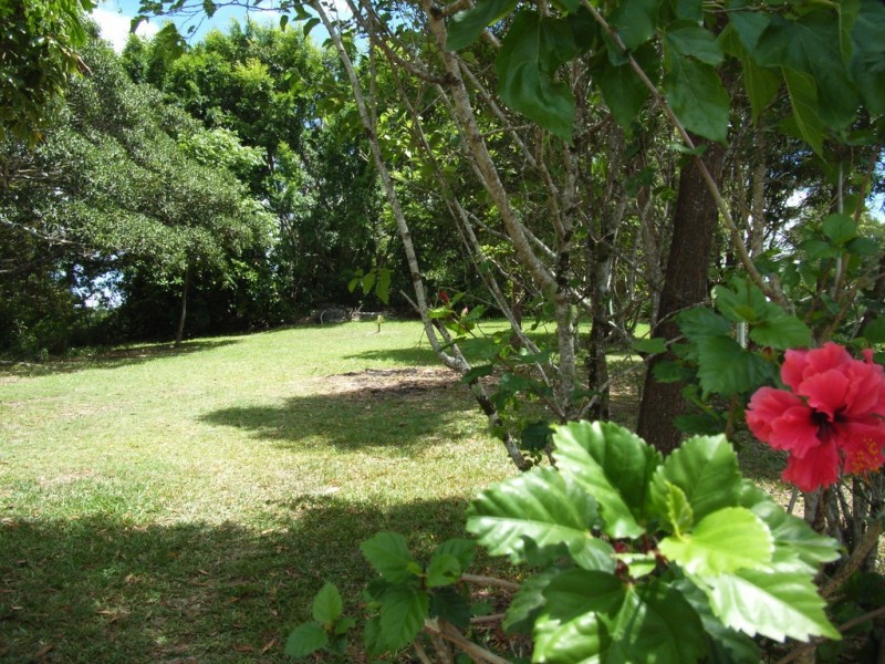 34 Butterfly Lane, Black Mountain QLD 4563