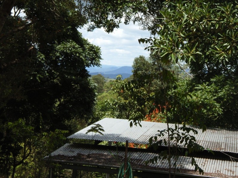 34 Butterfly Lane, Black Mountain QLD 4563