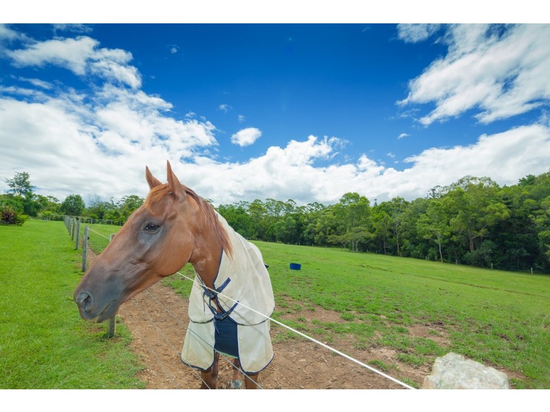 15 Cooroy Mountain Road, Lake Macdonald QLD 4563