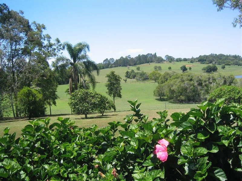 236 Cooroy Mountain Road, Cooroy Mountain QLD 4563