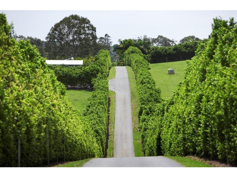 491 Cooroy Mountain Rd, Cooroy Mountain QLD 4563