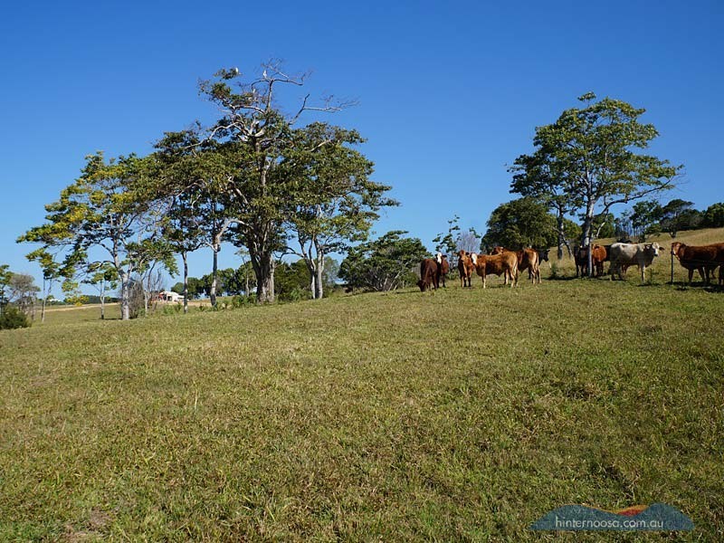Lot 50, 141a Cooroy Belli Creek Rd, Cooroy QLD 4563