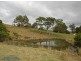 Lot 50, 141a Cooroy Belli Creek Rd, Cooroy QLD 4563