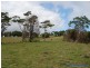 Lot 50, 141a Cooroy Belli Creek Rd, Cooroy QLD 4563