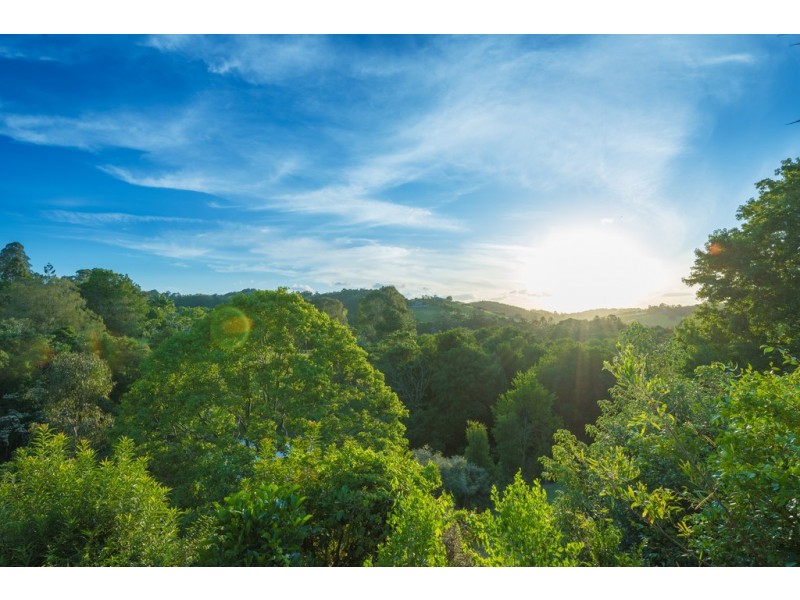 179 Cooroy Belli Creek Rd, Cooroy QLD 4563