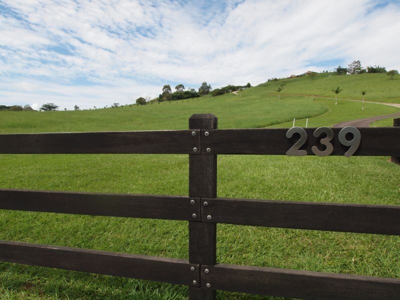 239 Cooroy-Belli Creek Rd, Cooroy QLD 4563