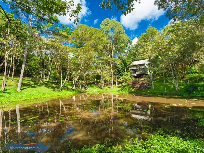 490 Cooroy Belli Creek Road, Cooroy QLD 4563