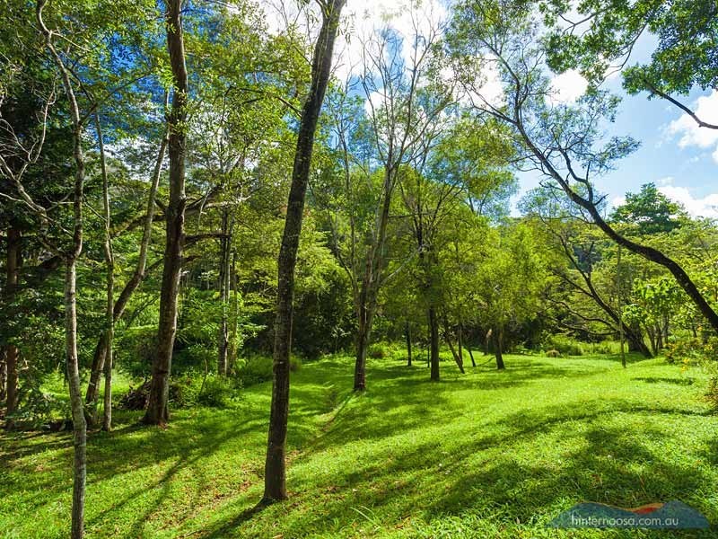 490 Cooroy Belli Creek Road, Cooroy QLD 4563