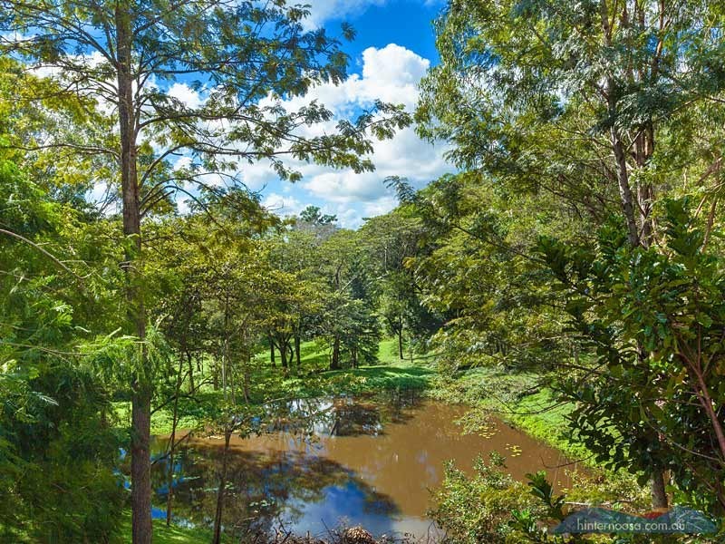 490 Cooroy Belli Creek Road, Cooroy QLD 4563