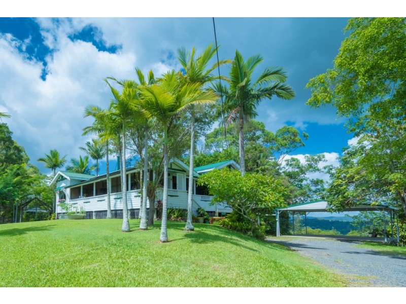 705 Cooroy Belli Creek Rd, Black Mountain QLD 4563