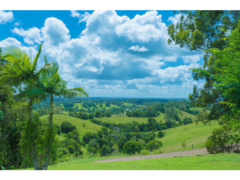 705 Cooroy Belli Creek Rd, Black Mountain QLD 4563