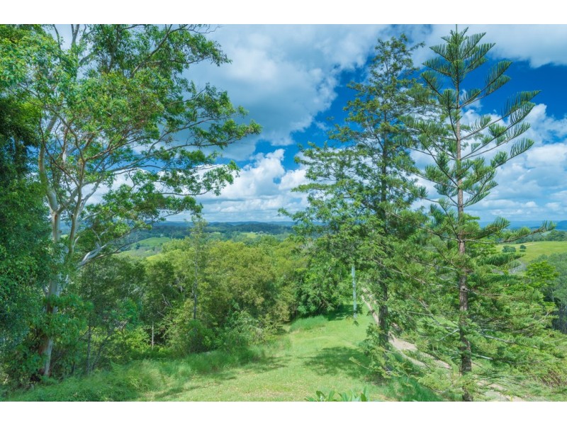 705 Cooroy Belli Creek Rd, Black Mountain QLD 4563