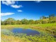1351 Cooroy-Belli Creek Road, Ridgewood QLD 4563