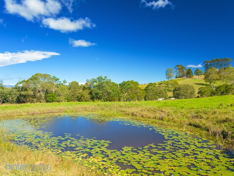 1351 Cooroy-Belli Creek Road, Ridgewood QLD 4563