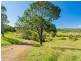 1351 Cooroy-Belli Creek Road, Ridgewood QLD 4563