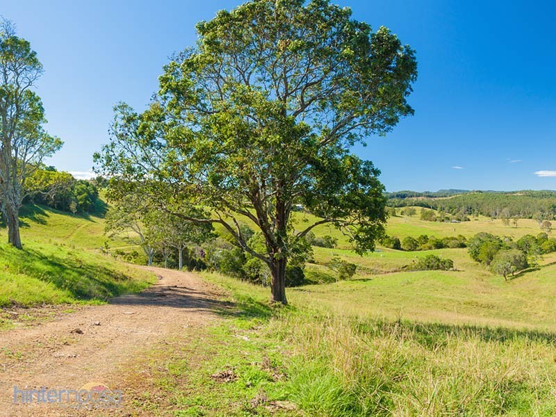 1351 Cooroy-Belli Creek Road, Ridgewood QLD 4563