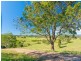 1351 Cooroy-Belli Creek Road, Ridgewood QLD 4563
