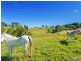1351 Cooroy-Belli Creek Road, Ridgewood QLD 4563