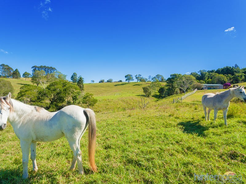 1351 Cooroy-Belli Creek Road, Ridgewood QLD 4563