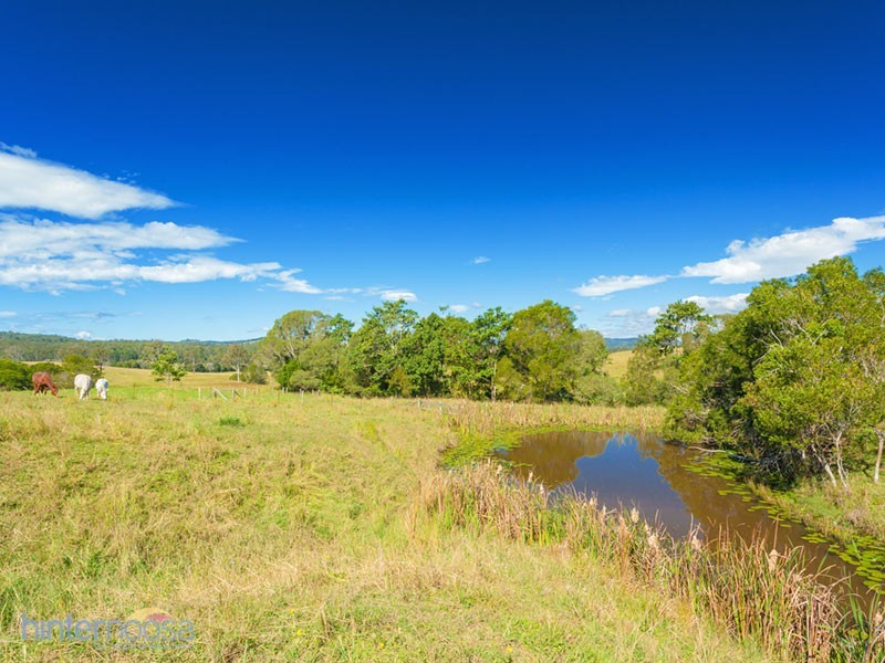 1351 Cooroy-Belli Creek Road, Ridgewood QLD 4563