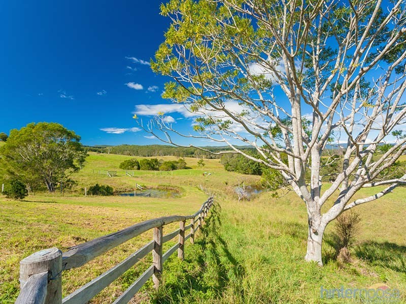 1351 Cooroy-Belli Creek Road, Ridgewood QLD 4563
