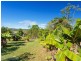 1351 Cooroy-Belli Creek Road, Ridgewood QLD 4563