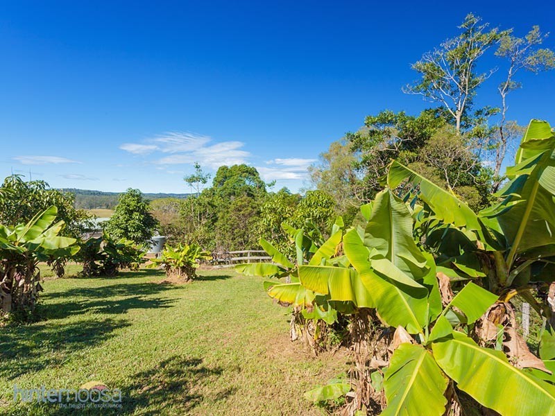 1351 Cooroy-Belli Creek Road, Ridgewood QLD 4563