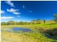 1351 Cooroy-Belli Creek Road, Ridgewood QLD 4563