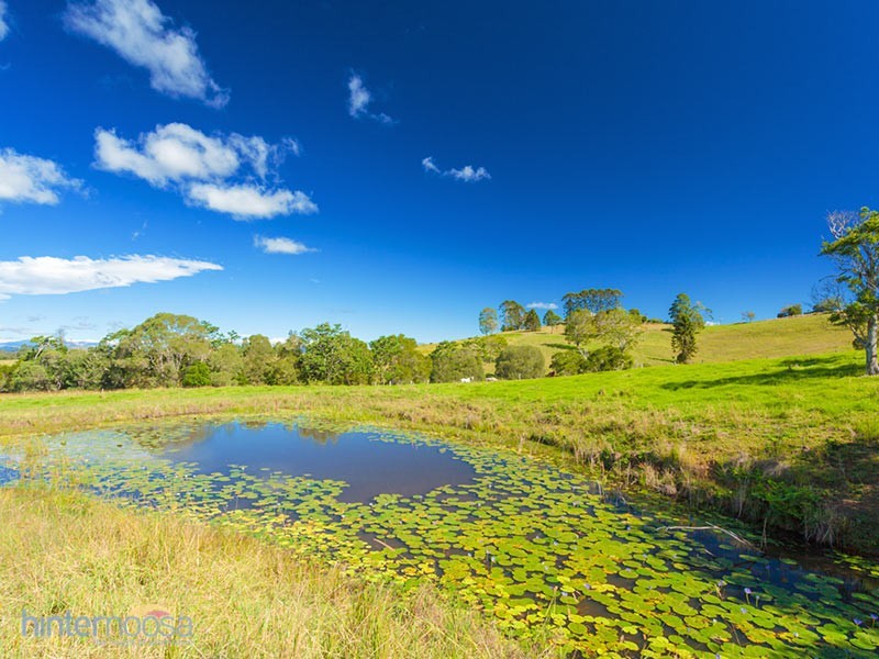 1351 Cooroy-Belli Creek Road, Ridgewood QLD 4563