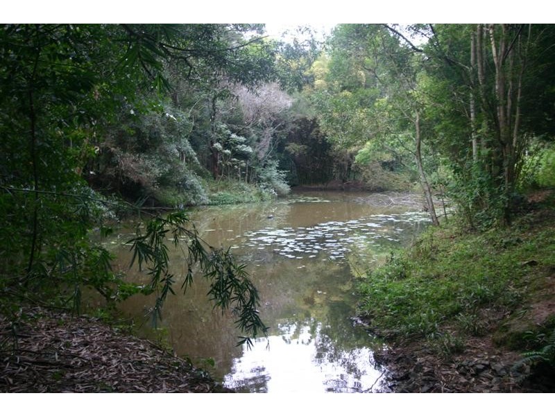 1456 Cooroy Belli Creek Rd, Cooroy QLD 4563